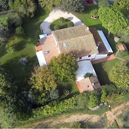 Relais Felciaino B&B Bolgheri Zimmer foto