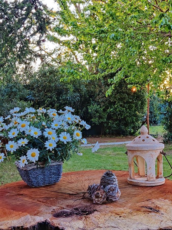 Relais Felciaino B&B Bolgheri Exterior foto