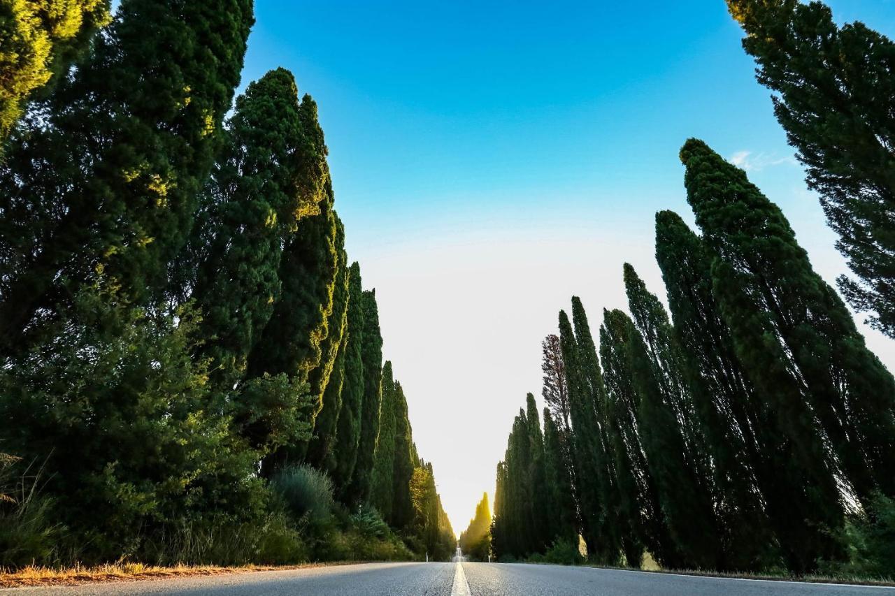 Relais Felciaino B&B Bolgheri Exterior foto