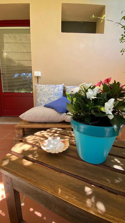 Relais Felciaino B&B Bolgheri Exterior foto